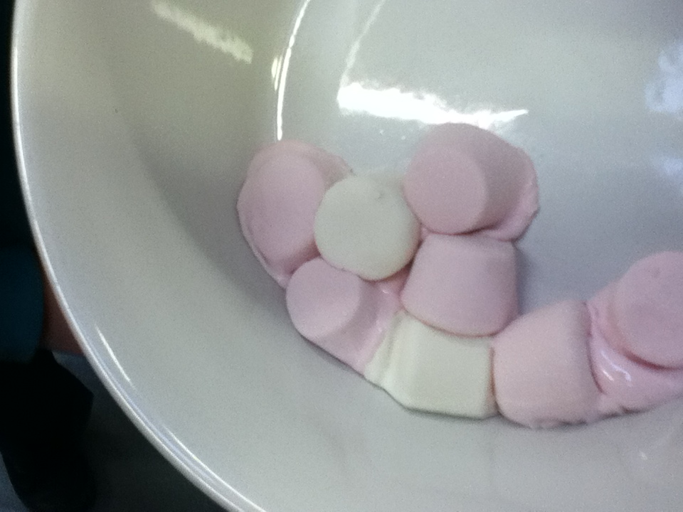 Year 1 Class Marshmallow experiment